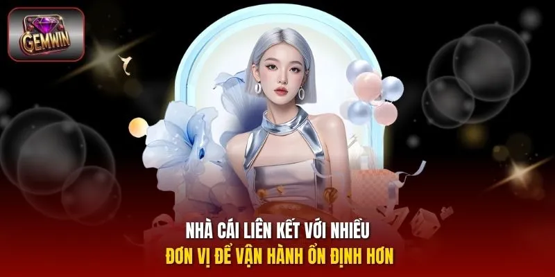 Nhà cái liên kết với nhiều đơn vị để vận hành ổn định hơn